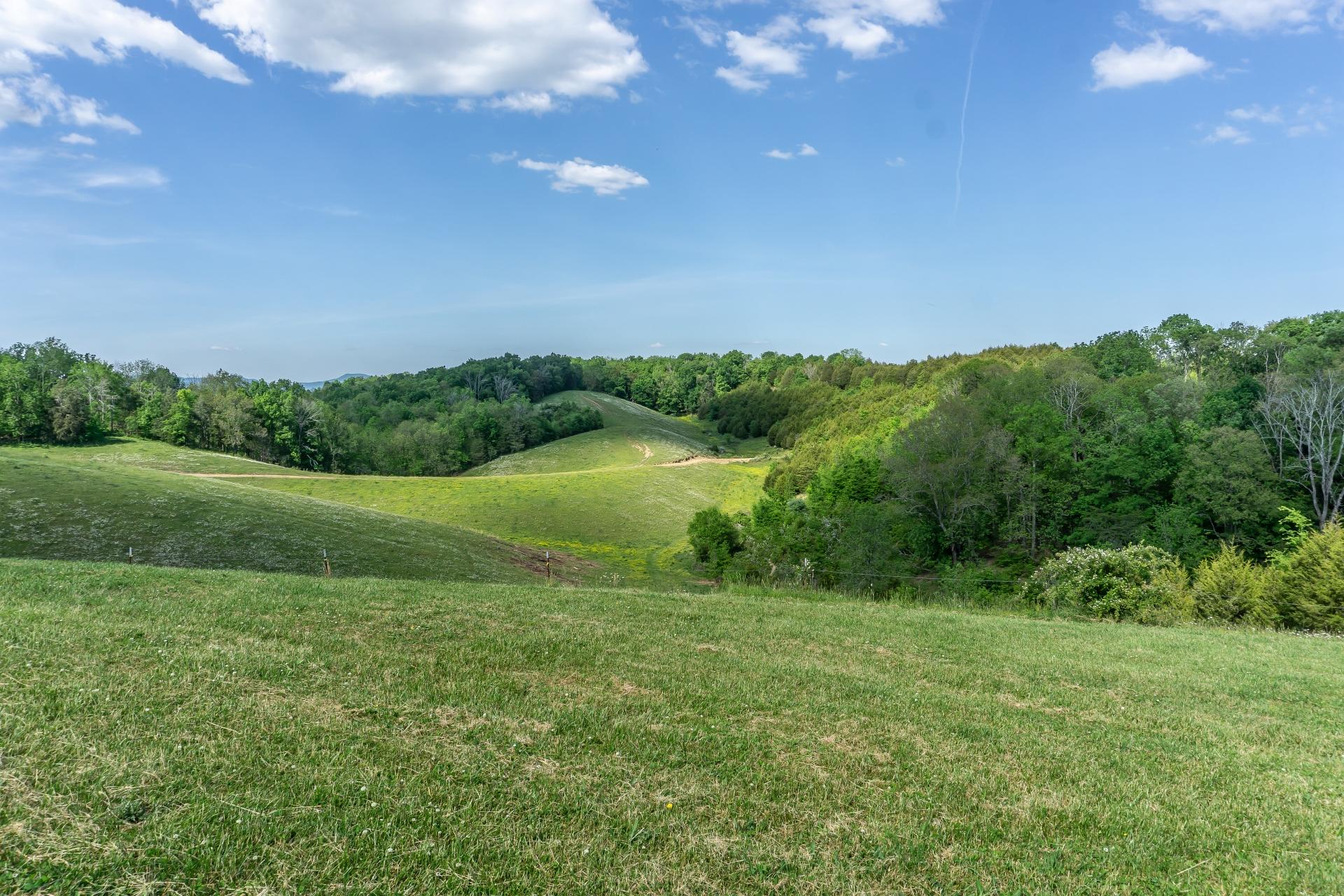 70 Collins Road Greeneville, TN 37745 - Photo 84 of 93 70collinsG_146