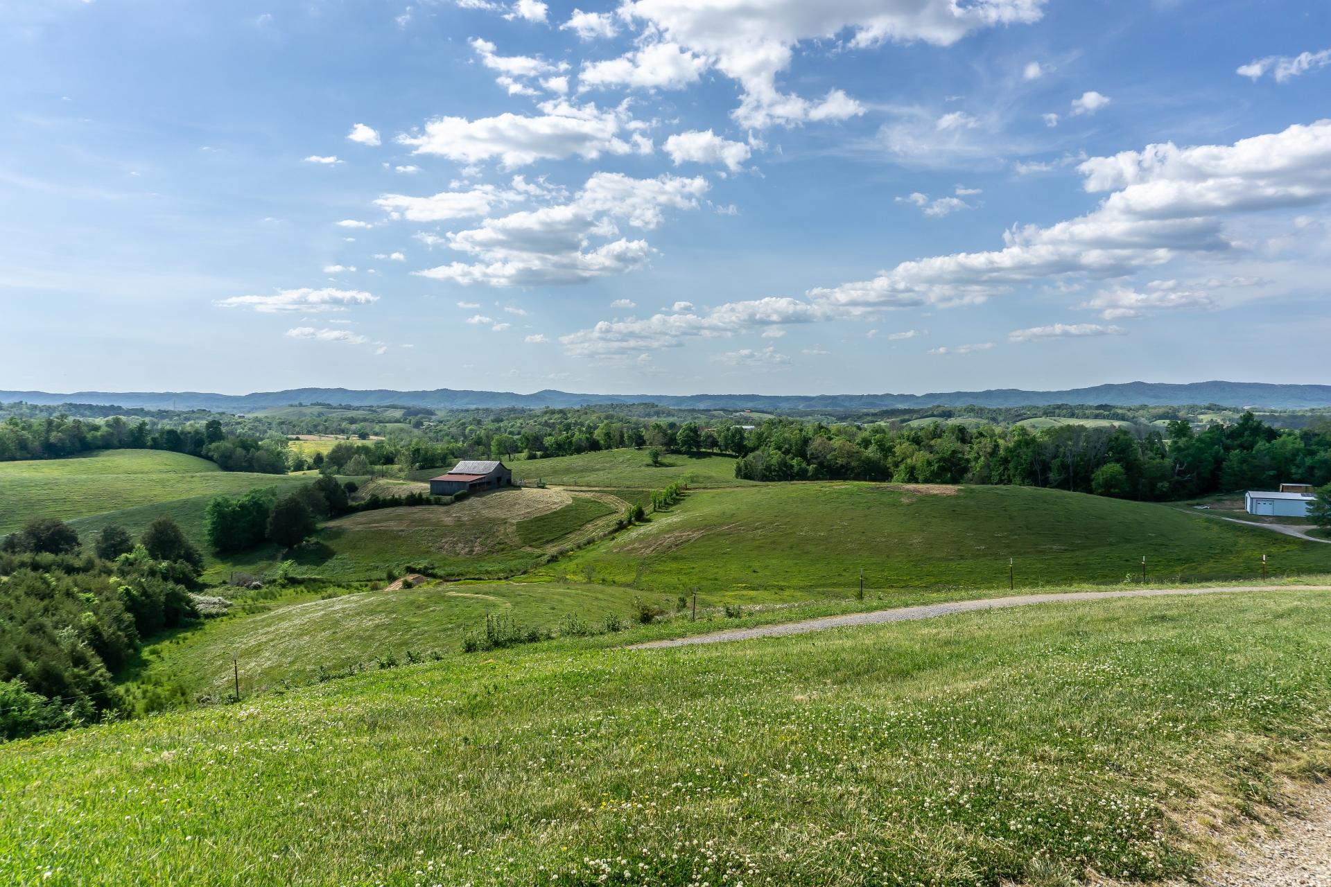 70 Collins Road Greeneville, TN 37745 - Photo 85 of 93 70collinsG_150