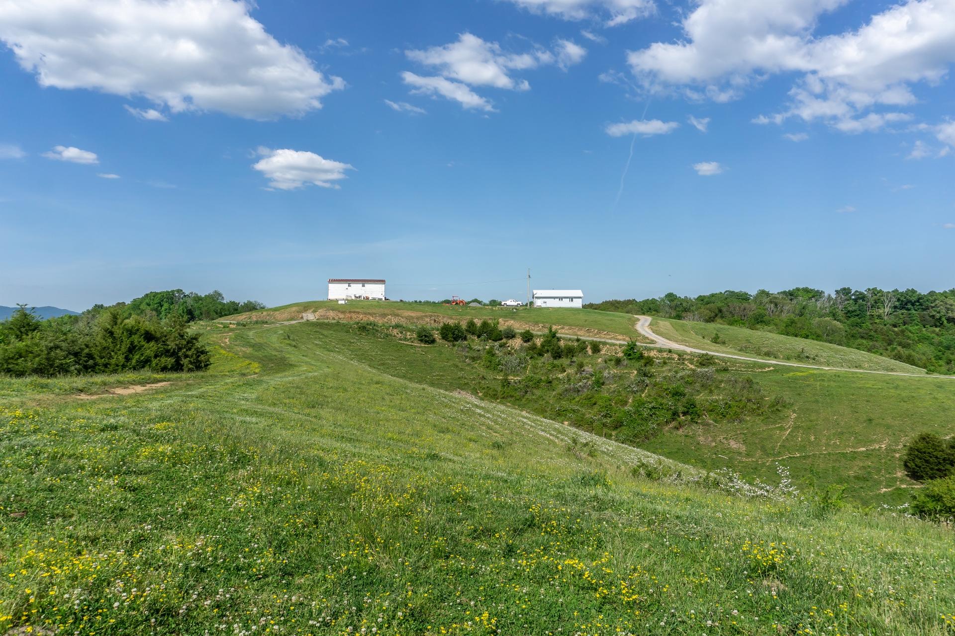 70 Collins Road Greeneville, TN 37745 - Photo 87 of 93 70collinsG_156