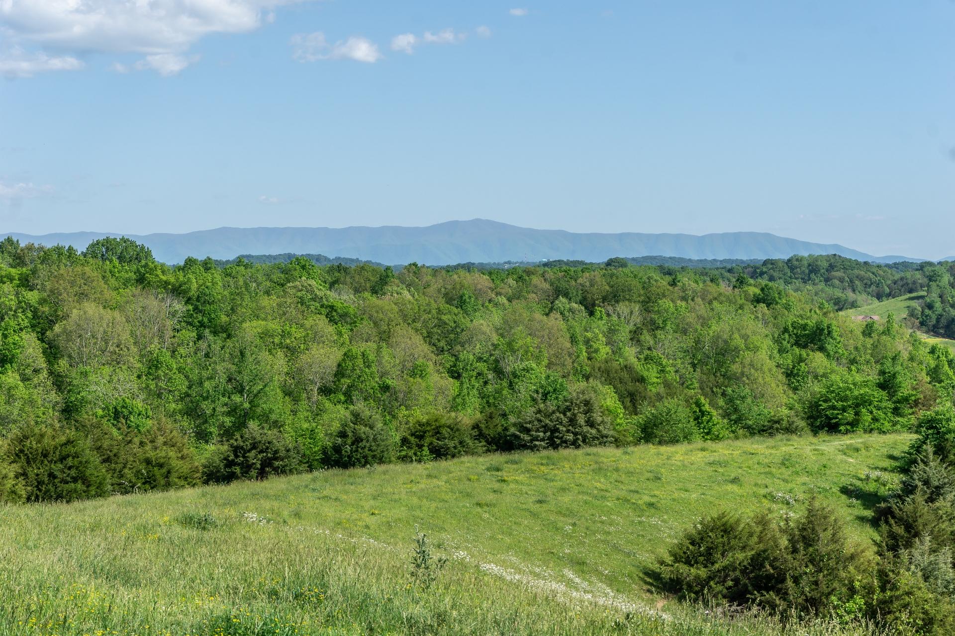 70 Collins Road Greeneville, TN 37745 - Photo 89 of 93 70collinsG_162
