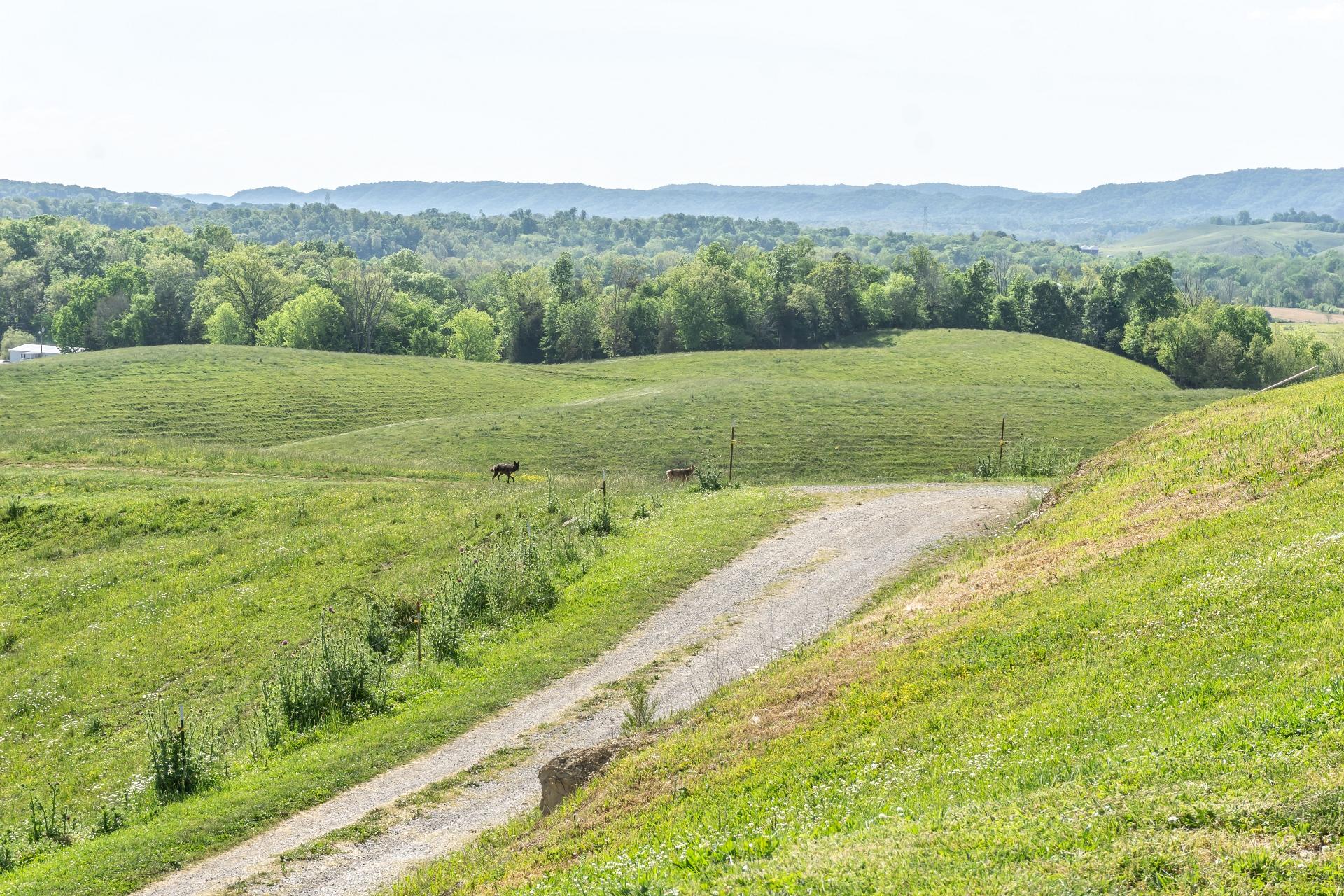 70 Collins Road Greeneville, TN 37745 - Photo 91 of 93 70collinsG_171