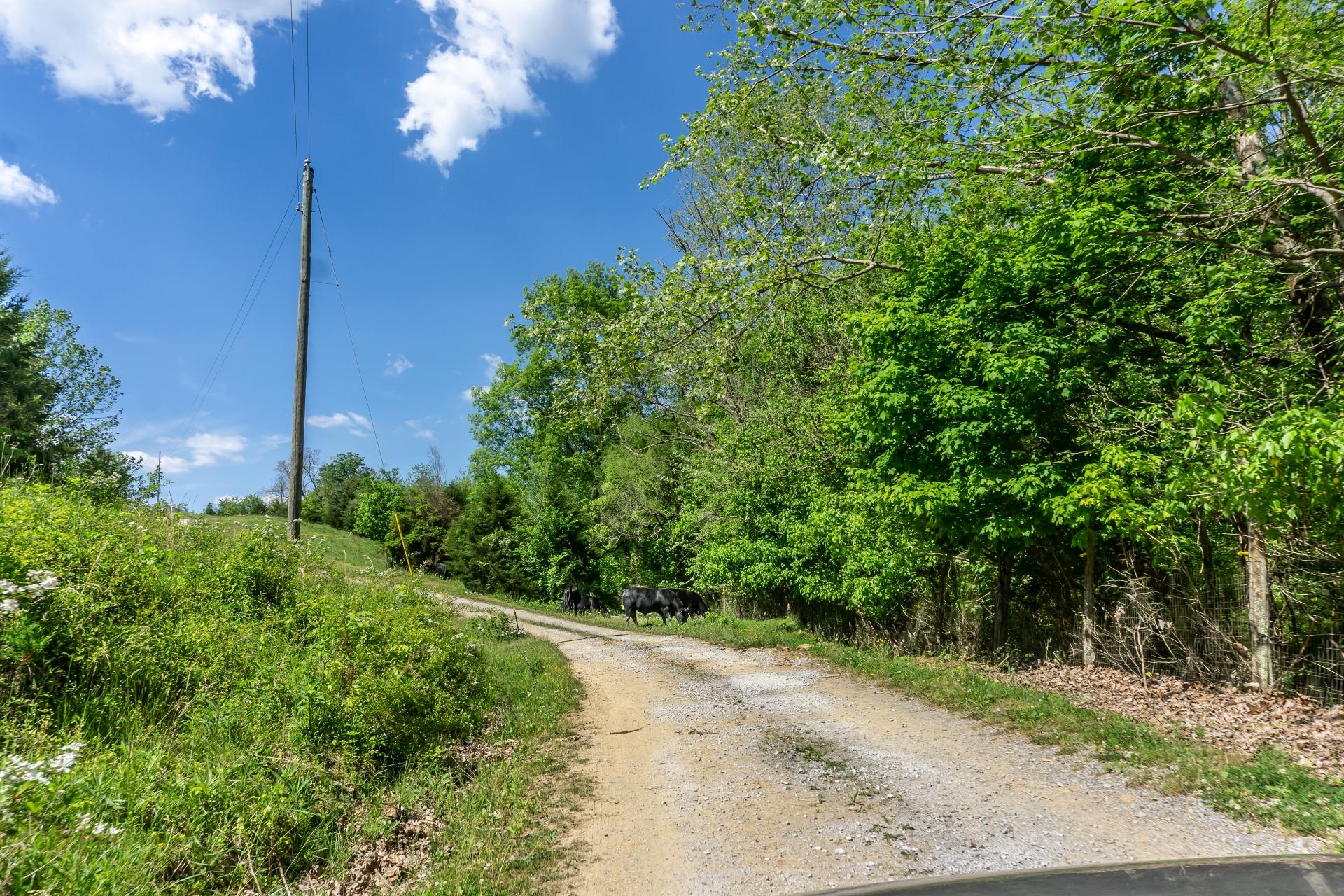 70 Collins Road Greeneville, TN 37745 - Photo 92 of 93 70collinsG_175