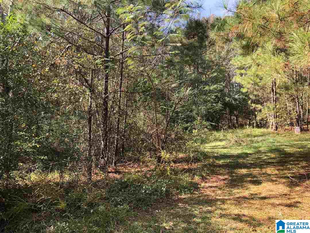 980 Turner Road, Unit ADJOINING PARCELS Anniston, AL 36201 - Photo 11 of 17