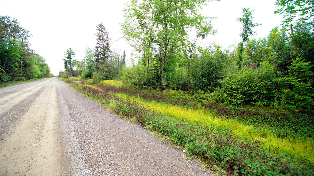Lot 4 Callaghan Road Houlton, ME 04730 - Photo 7 of 23 davis-callaghan-rd-4