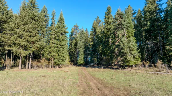 $1,950,000 | Nka 320-acs Nka 320-acs Summer Road, Orofino, ID 83544