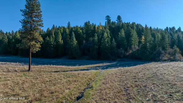 $1,950,000 | Nka 320-acs Nka 320-acs Summer Road, Orofino, ID 83544