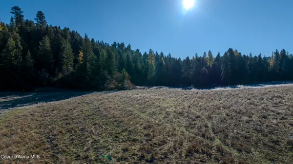 $1,950,000 | Nka 320-acs Nka 320-acs Summer Road, Orofino, ID 83544