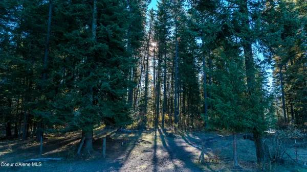 $1,950,000 | Nka 320-acs Nka 320-acs Summer Road, Orofino, ID 83544