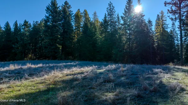 $1,950,000 | Nka 320-acs Nka 320-acs Summer Road, Orofino, ID 83544