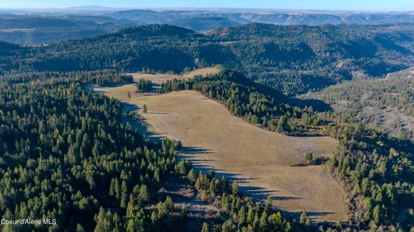 $1,950,000 | Nka 320-acs Nka 320-acs Summer Road, Orofino, ID 83544