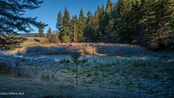 $1,950,000 | Nka 320-acs Nka 320-acs Summer Road, Orofino, ID 83544