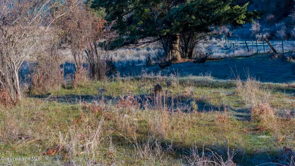 $1,950,000 | Nka 320-acs Nka 320-acs Summer Road, Orofino, ID 83544