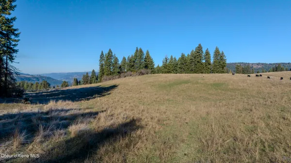 $1,950,000 | Nka 320-acs Nka 320-acs Summer Road, Orofino, ID 83544