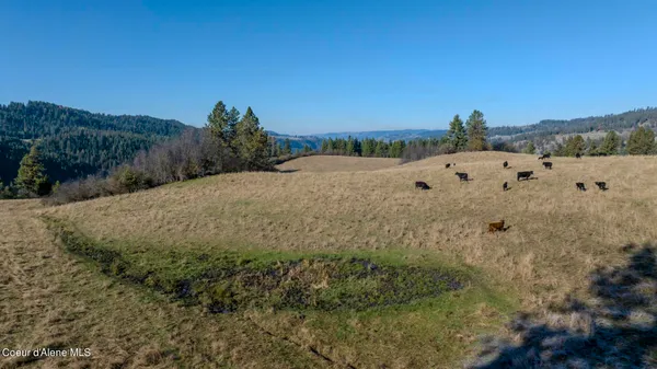 $1,950,000 | Nka 320-acs Nka 320-acs Summer Road, Orofino, ID 83544