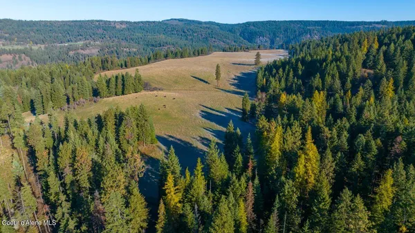 $1,950,000 | Nka 320-acs Nka 320-acs Summer Road, Orofino, ID 83544