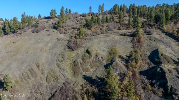 $1,950,000 | Nka 320-acs Nka 320-acs Summer Road, Orofino, ID 83544