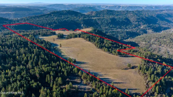 $1,950,000 | Nka 320-acs Nka 320-acs Summer Road, Orofino, ID 83544