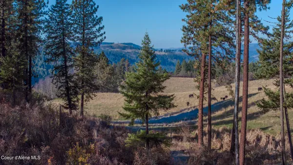 $1,950,000 | Nka 320-acs Nka 320-acs Summer Road, Orofino, ID 83544