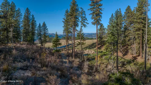 $1,950,000 | Nka 320-acs Nka 320-acs Summer Road, Orofino, ID 83544