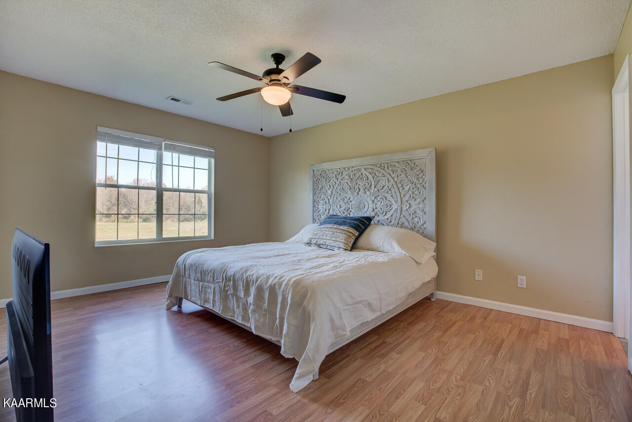 321 Vernie Lee Road Friendsville, TN 37737 - Photo 22 of 37 _X3A8931And8more
