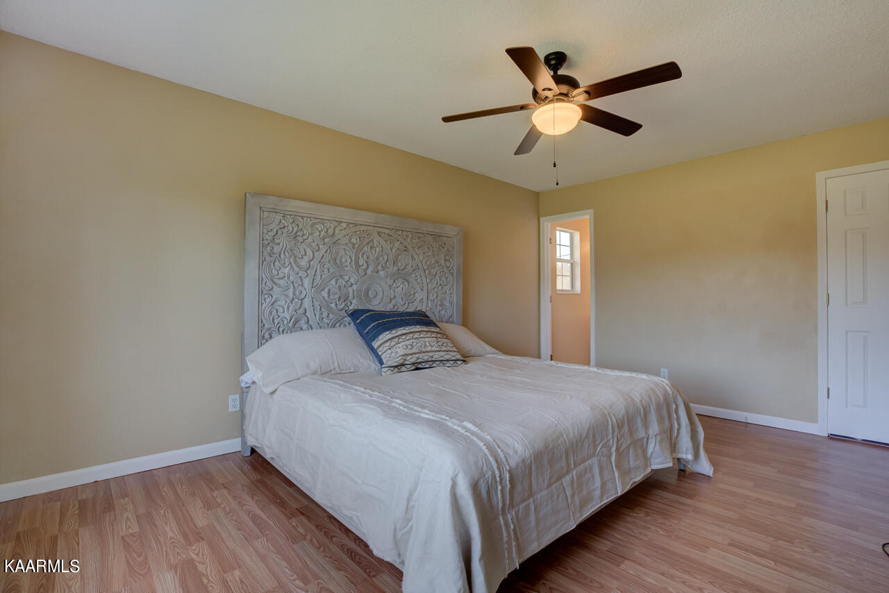 321 Vernie Lee Road Friendsville, TN 37737 - Photo 23 of 37 _X3A8956_57_58_59_60_61_62
