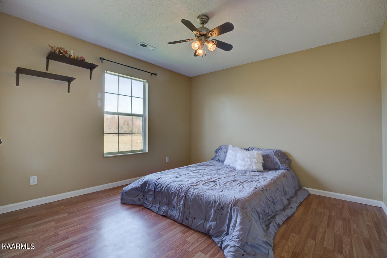 321 Vernie Lee Road Friendsville, TN 37737 - Photo 27 of 37 _X3A8910_1_2_3_4_5_6