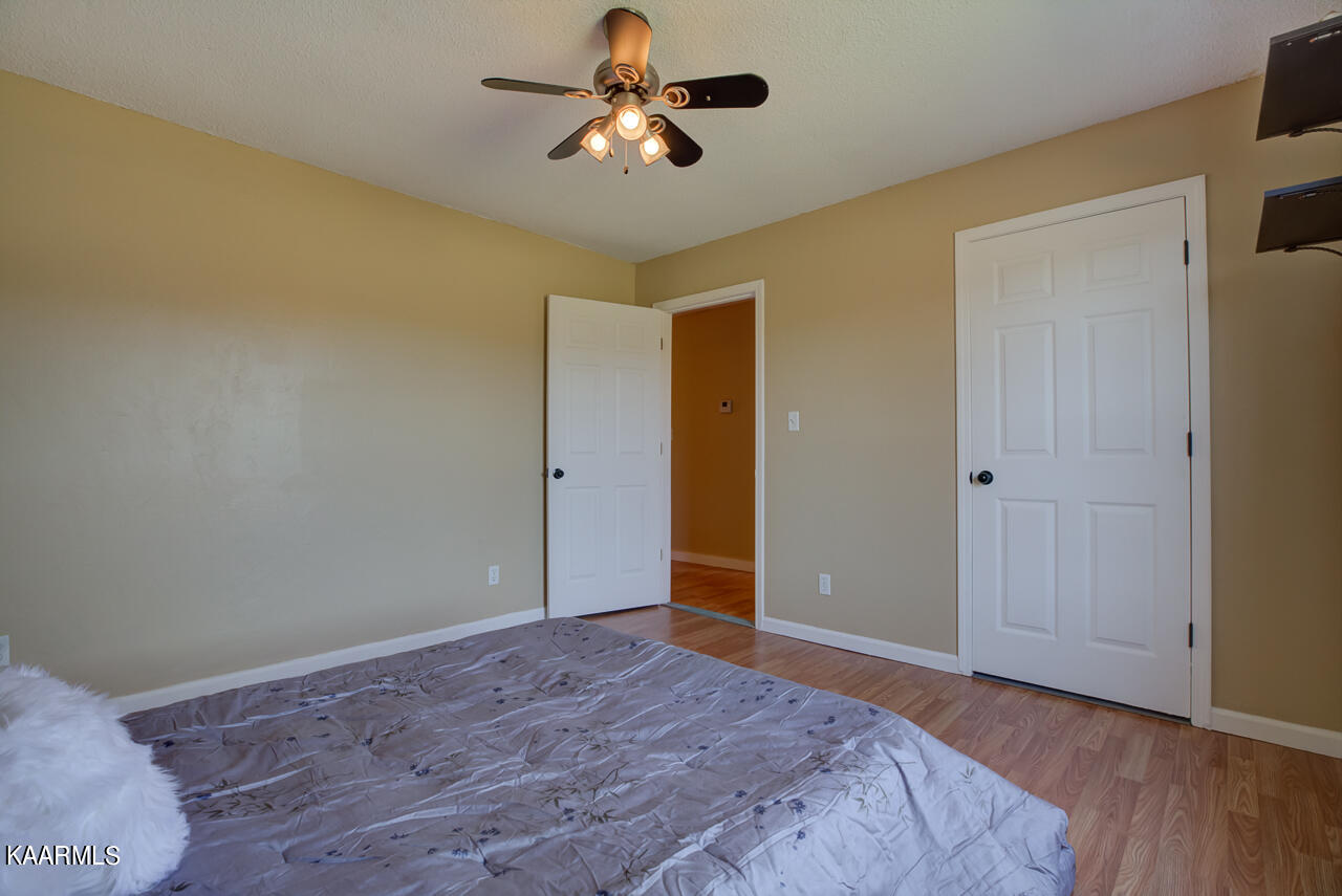 321 Vernie Lee Road Friendsville, TN 37737 - Photo 28 of 37 _X3A8917_18_19_20_21_22_23