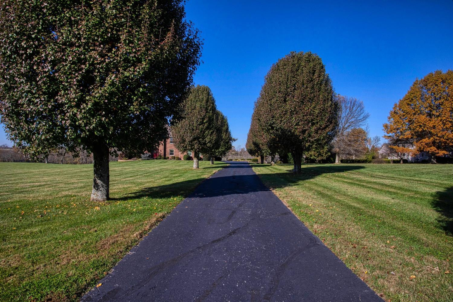 1195 The Ridings Winchester, KY 40391 - Photo 3 of 79 Photo 3
