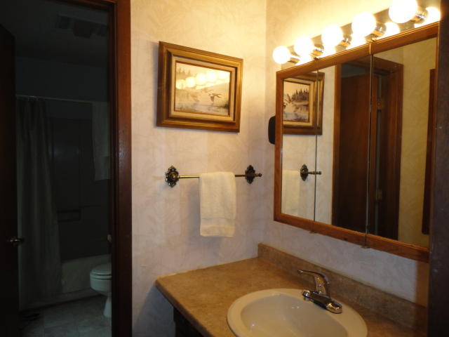 102 Garnet Lane Oak Ridge, TN 37830 - Photo 10 of 25 DSC09364