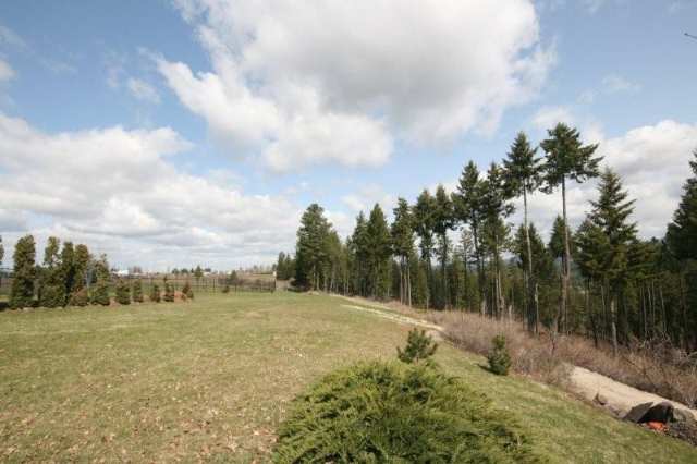 18702 North Sands Road Colbert, WA 99005 - Photo 8 of 9