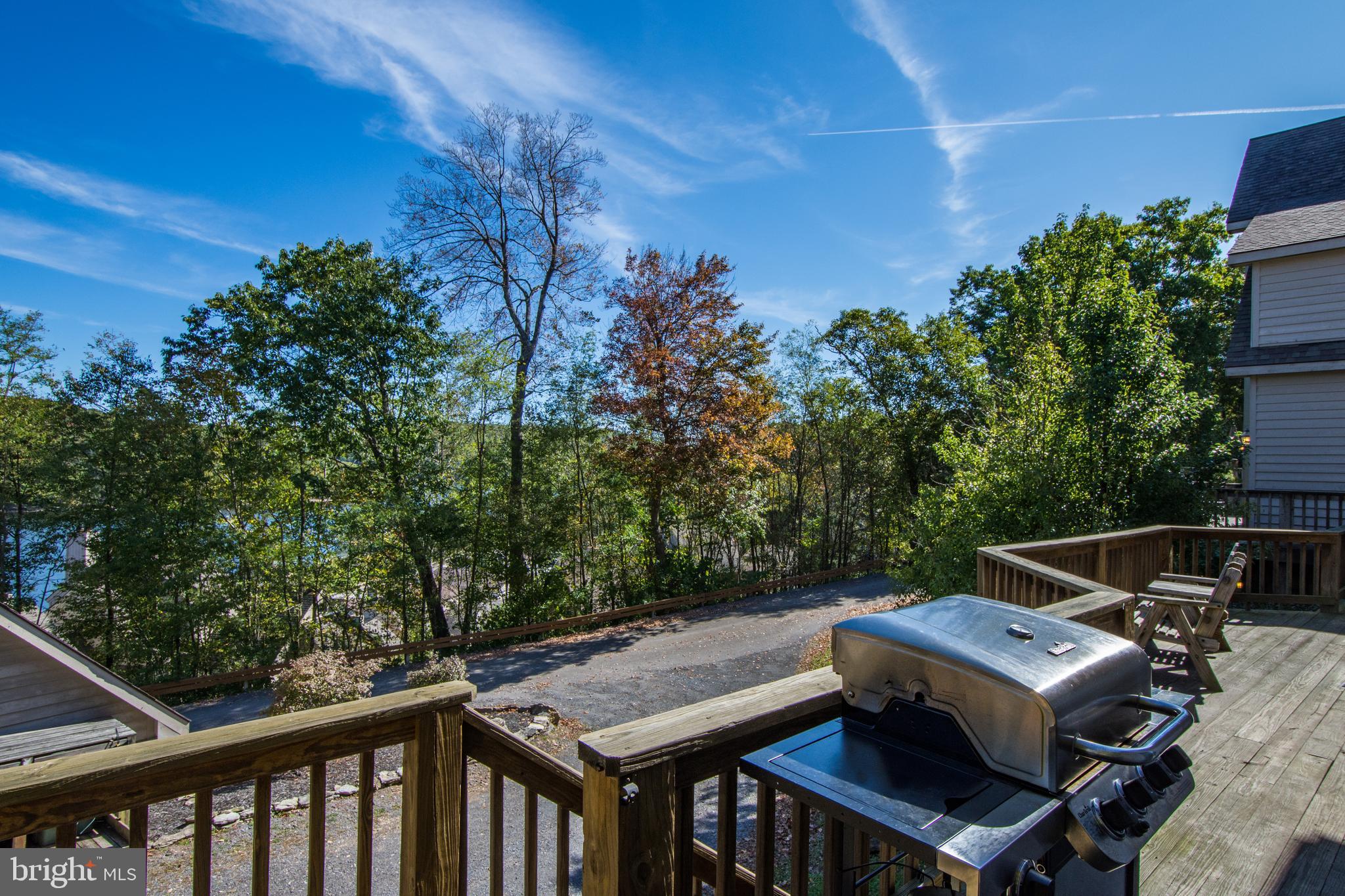 180 Roman Ridge Road, Unit 18 Oakland, MD 21550 - Photo 4 of 55 Gallery Image 4