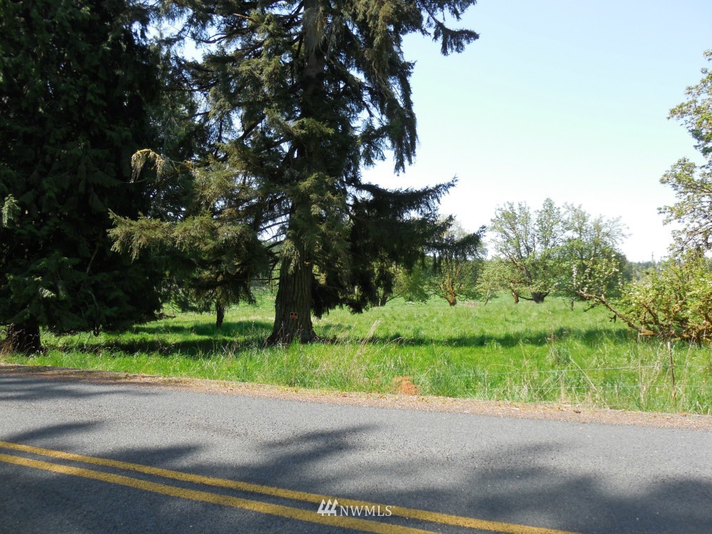 0 Moore Road Toutle, WA 98649 - Photo 1 of 25