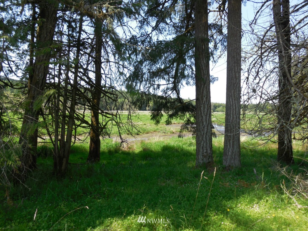 0 Moore Road Toutle, WA 98649 - Photo 11 of 25