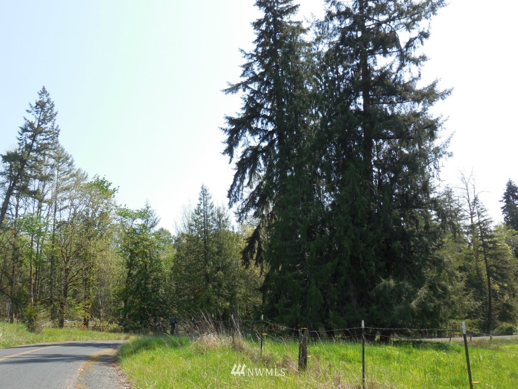 0 Moore Road Toutle, WA 98649 - Photo 17 of 25