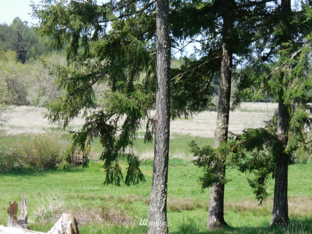 0 Moore Road Toutle, WA 98649 - Photo 19 of 25