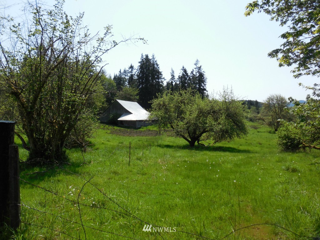 0 Moore Road Toutle, WA 98649 - Photo 20 of 25