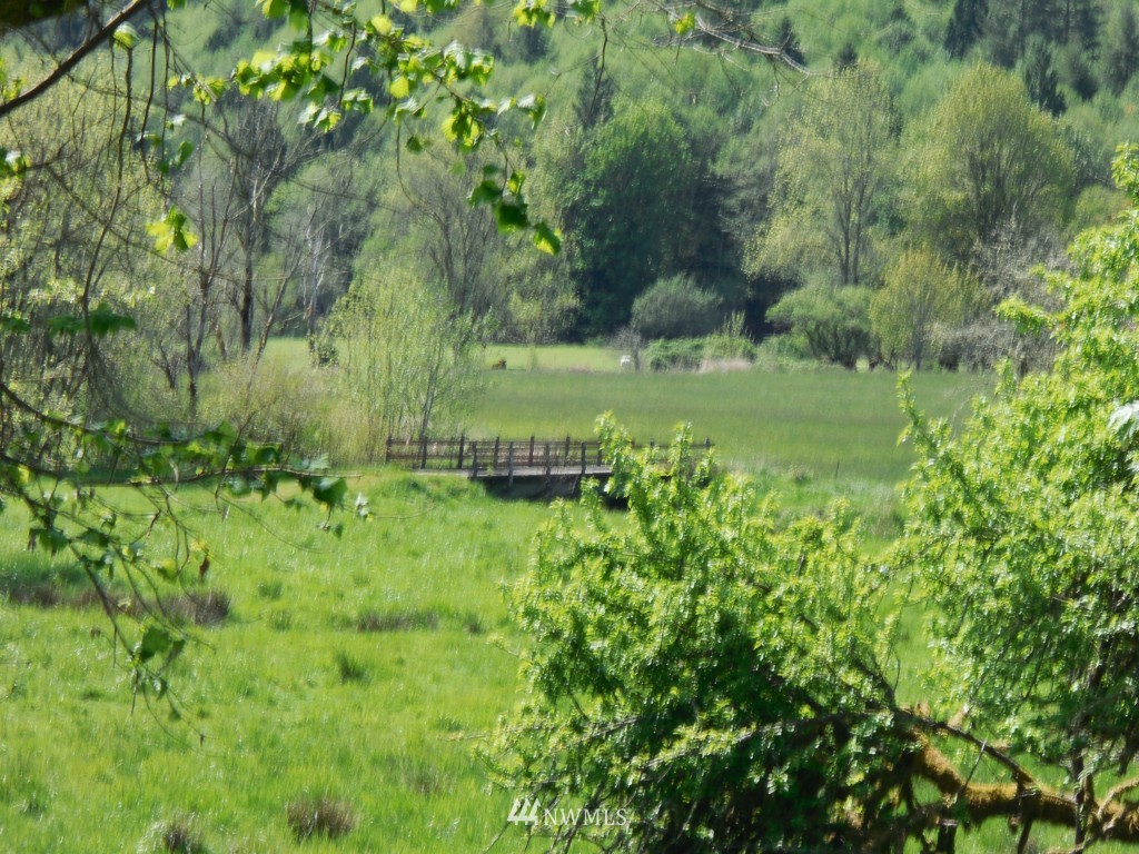 0 Moore Road Toutle, WA 98649 - Photo 21 of 25