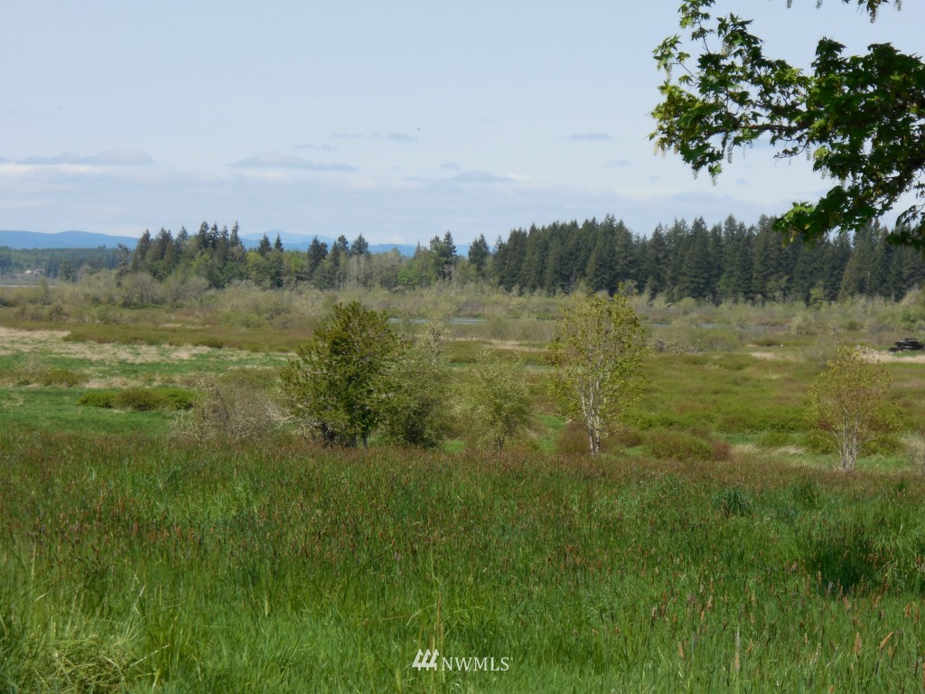 0 Moore Road Toutle, WA 98649 - Photo 22 of 25