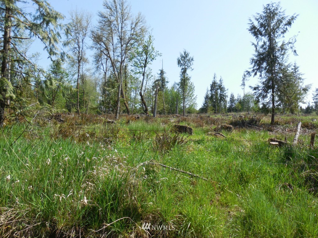 0 Moore Road Toutle, WA 98649 - Photo 4 of 25