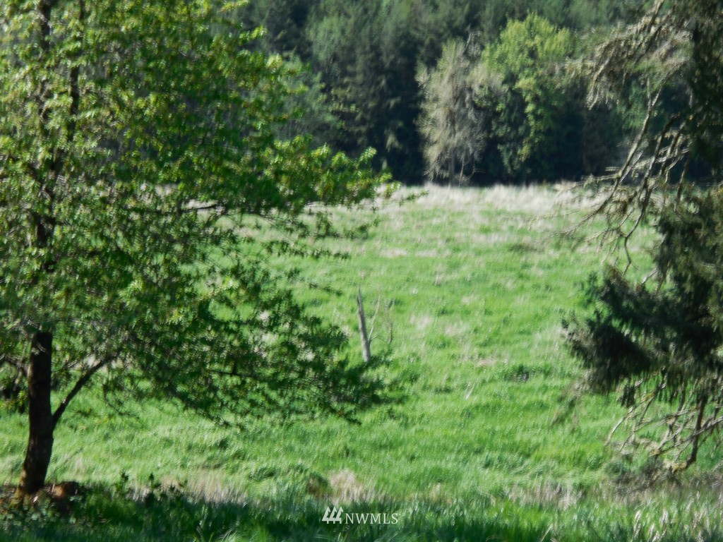 0 Moore Road Toutle, WA 98649 - Photo 8 of 25