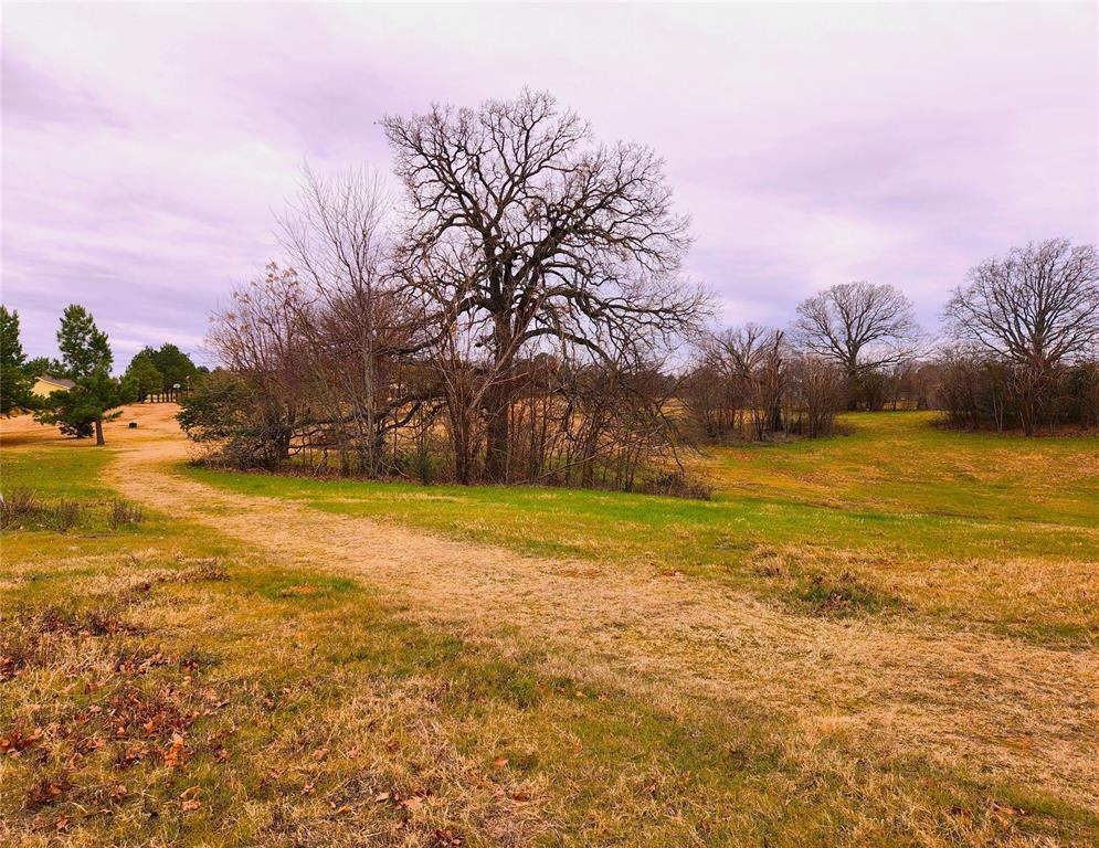 Lot 125 Clear View Court Athens, TX 75752 - Photo 12 of 34