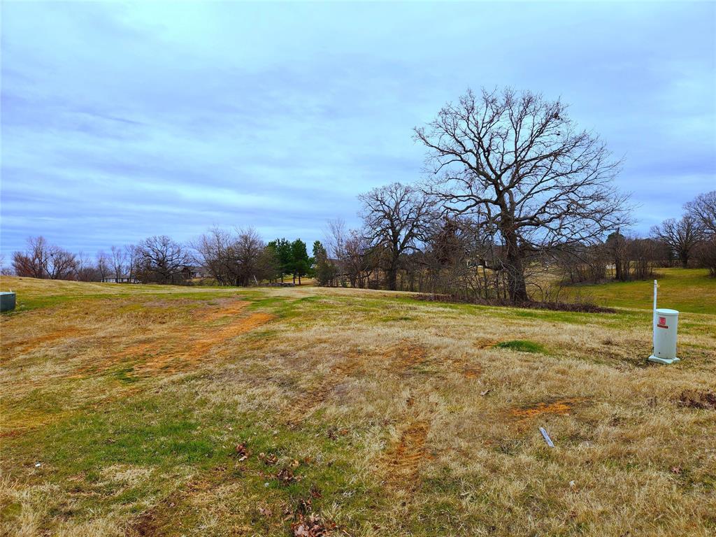 Lot 125 Clear View Court Athens, TX 75752 - Photo 19 of 34