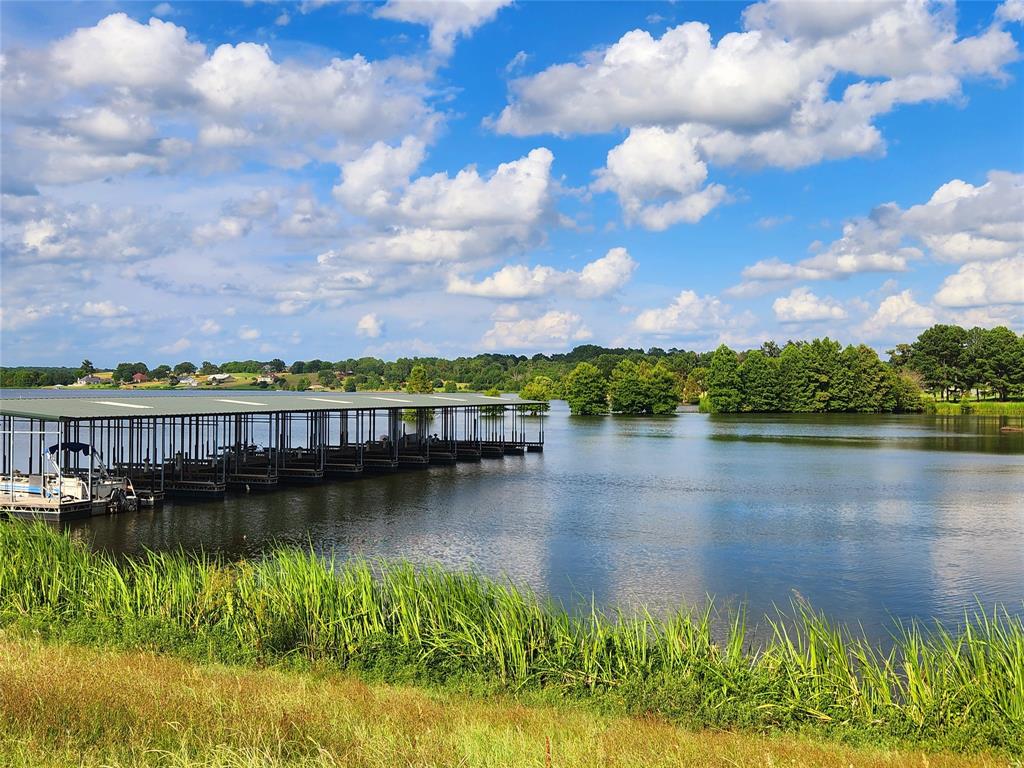 Lot 125 Clear View Court Athens, TX 75752 - Photo 25 of 34 Bring you pole and boat for some awesome fishing.