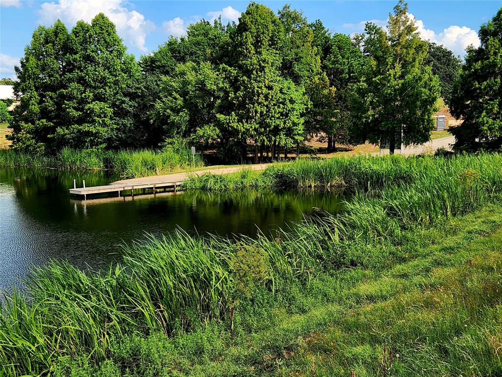 Lot 125 Clear View Court Athens, TX 75752 - Photo 28 of 34