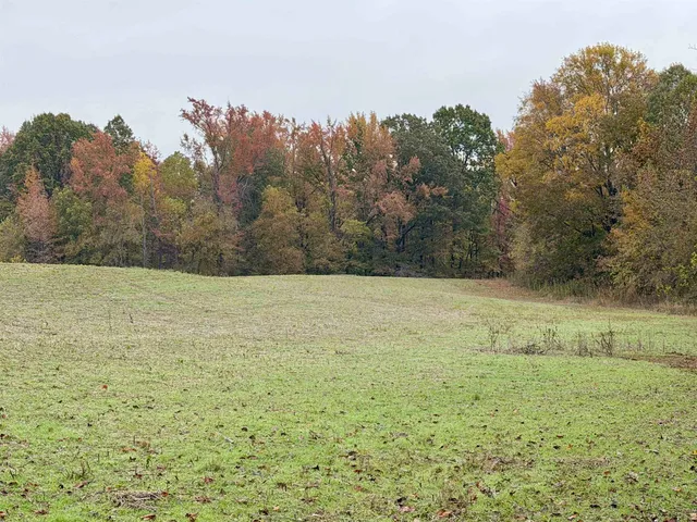 a view of a field with trees in the background