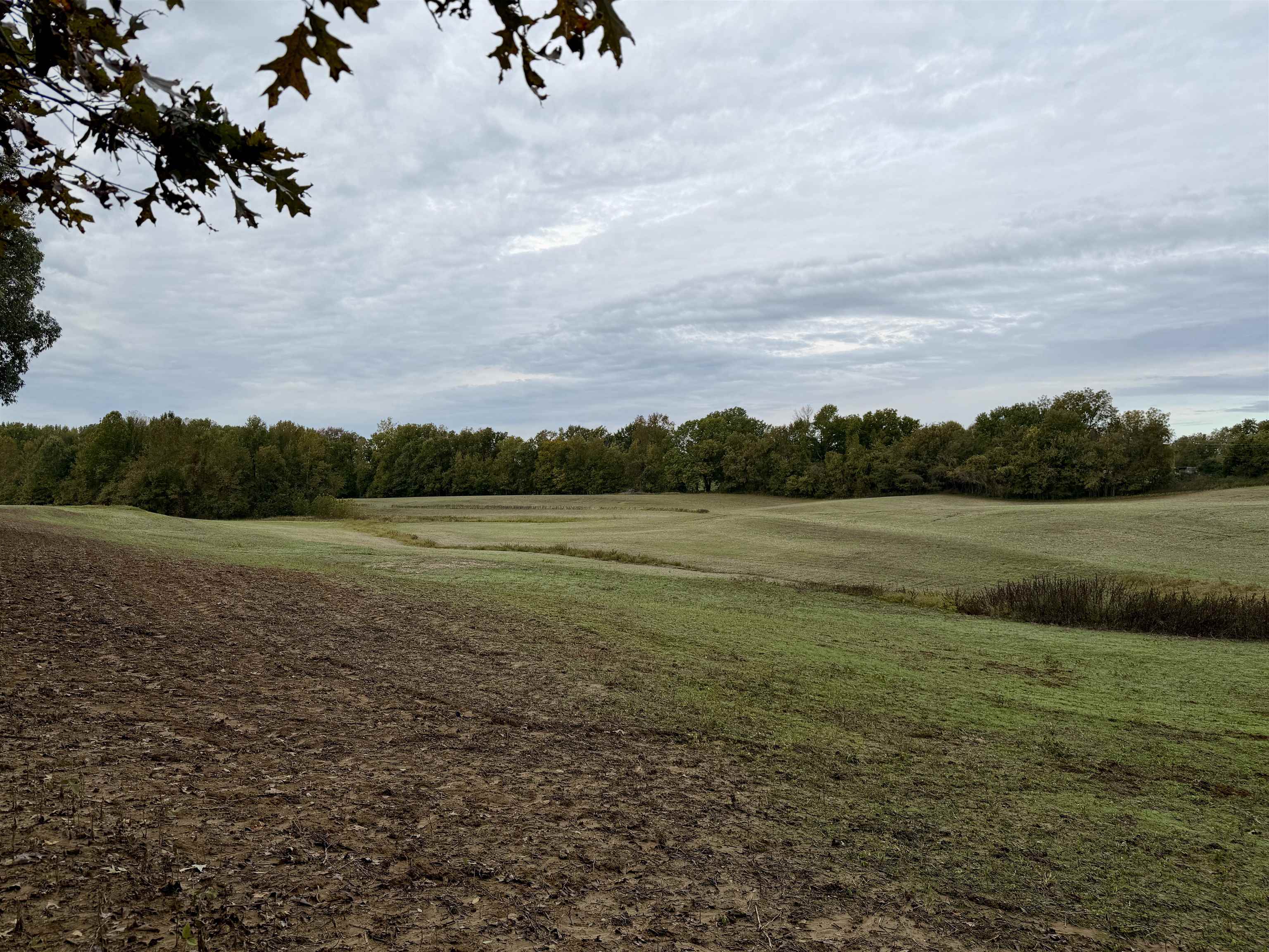 Faye Barfield Road Ripley, TN 38063 - Photo 13 of 34 a view of a lake from a yard