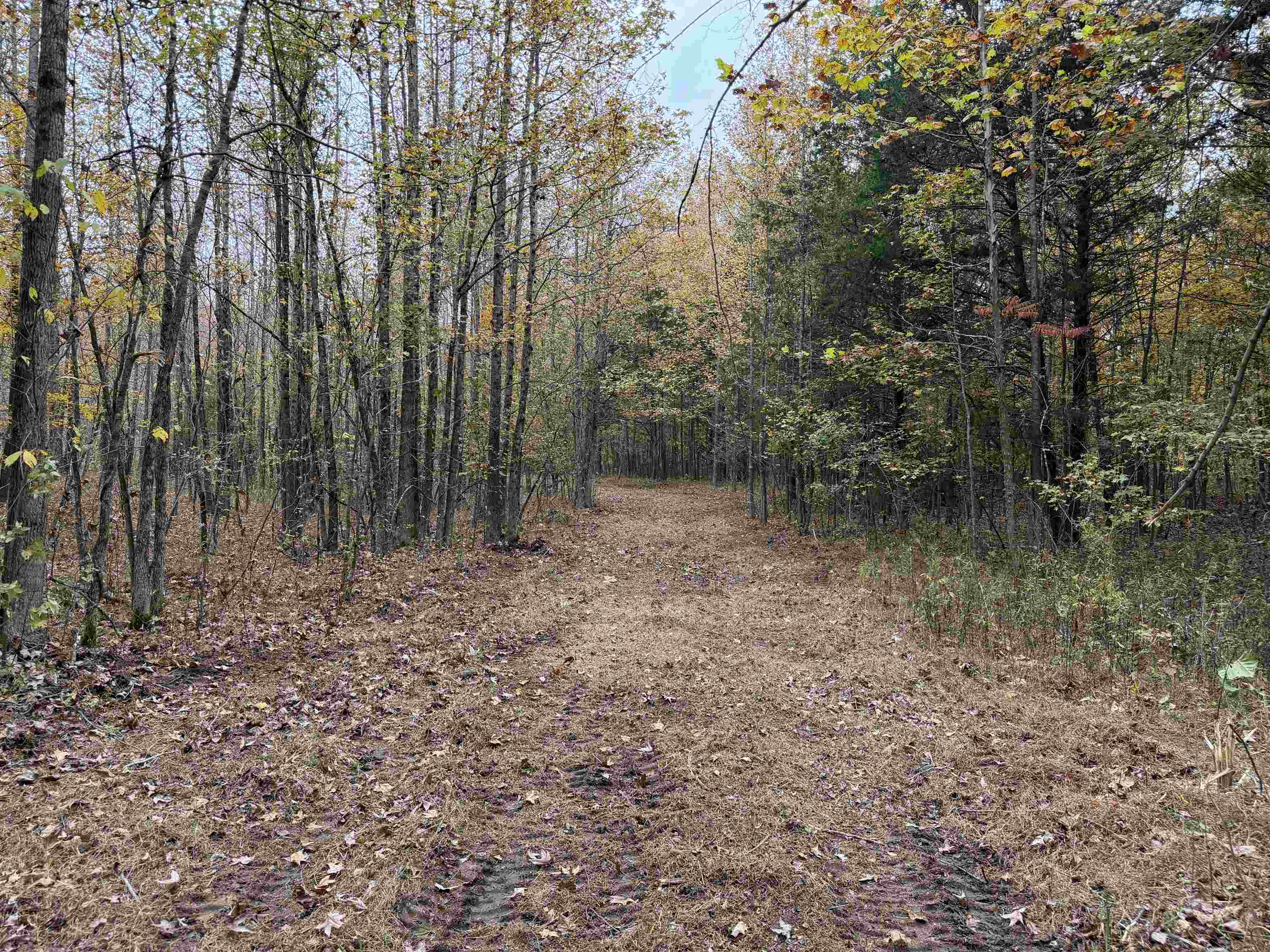 Faye Barfield Road Ripley, TN 38063 - Photo 18 of 34 a backyard of a house with lots of green space