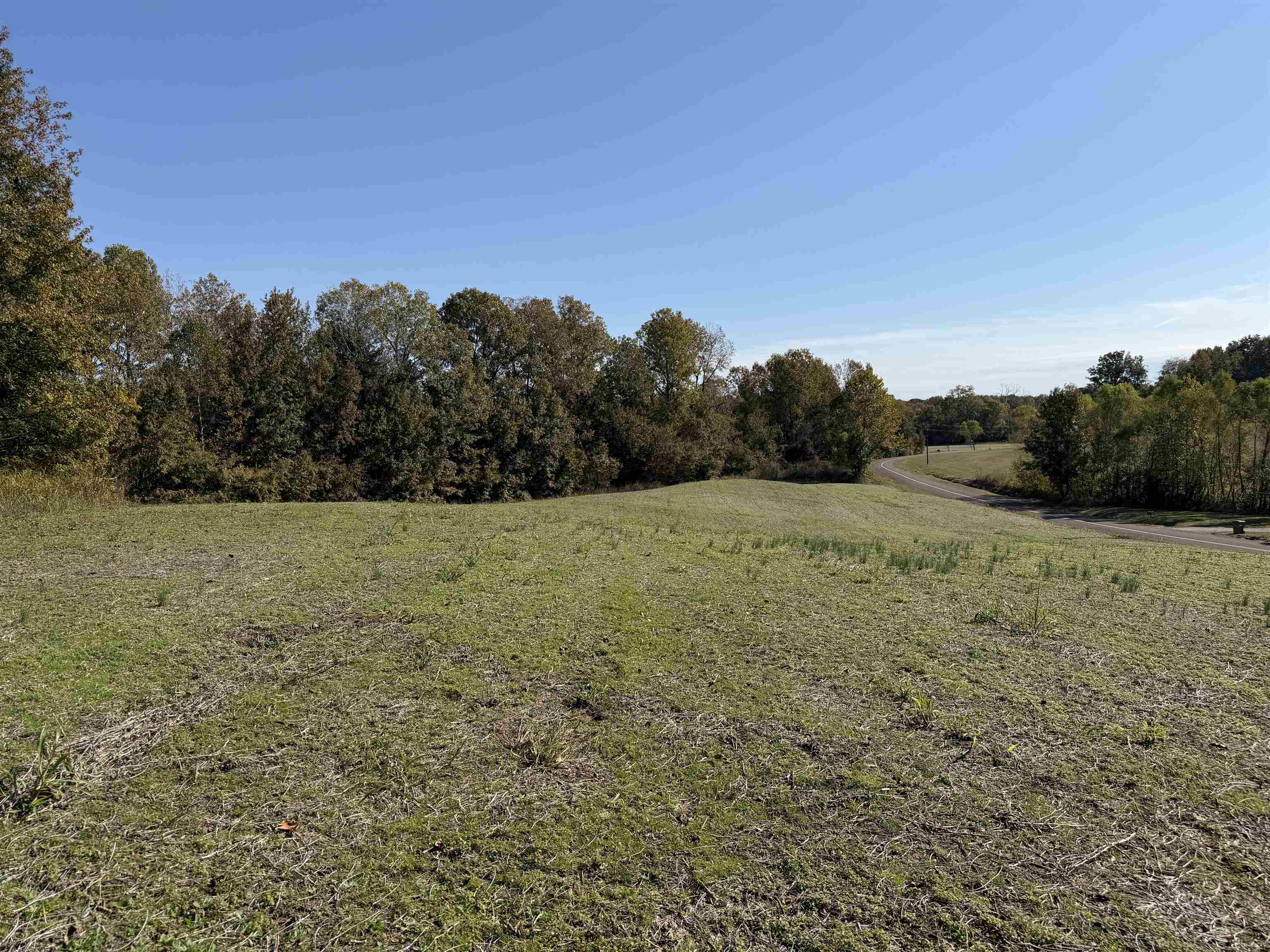 Faye Barfield Road Ripley, TN 38063 - Photo 19 of 34 a view of a field with trees in background