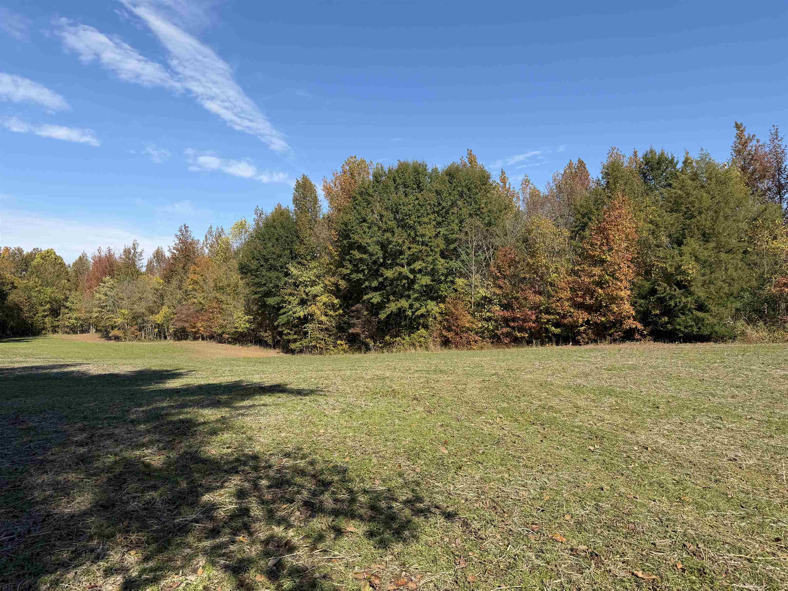 Faye Barfield Road Ripley, TN 38063 - Photo 20 of 34 a view of outdoor space and yard