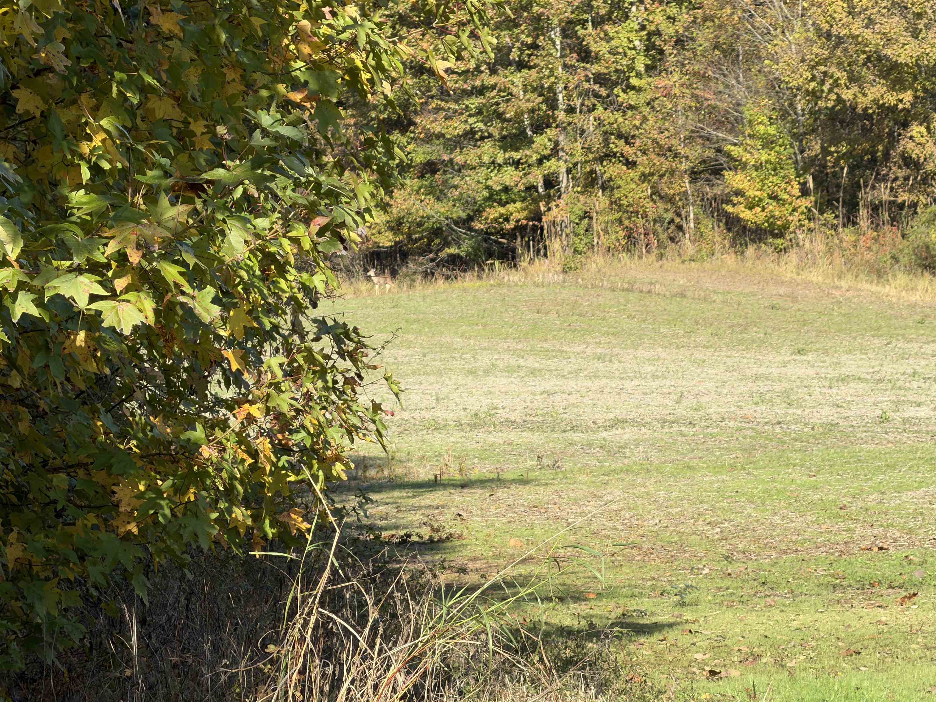 Faye Barfield Road Ripley, TN 38063 - Photo 28 of 34 a view of ocean